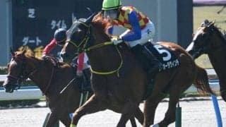 【JRA・WIN5】本日のWIN5は的中10票、配当5347万4770円