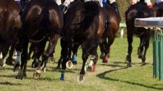 【新馬/福島4R】シスキン産駒ジーティーマイカが7馬身差圧勝、人気に応え鮮烈デビューV