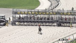 「ハラハラした」1番人気馬が“まさか”ゲート突進で破損→外枠発走でも初勝利…ファンは驚きと安堵の声「どうなるかと思った」