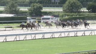 「可愛い顔して」 名馬の弟の白毛馬が大外から“ぶっこ抜き”…待望3勝目にファン歓喜「めっちゃ嬉しい！」「綺麗な差し」