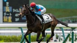 【新馬/福島5R】ピースオブエイトの半妹・アンムートが5馬身差圧勝…人気に応え鮮烈デビューV