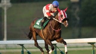 【盛岡・サファイア賞】セイクリスティーナが3馬身差完勝…山本聡哉「ベストパフォーマンスを見せてくれた」
