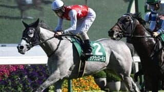 サマースプリント第2戦・北九州記念 大井の帝王賞にも注目/今週の競馬界の見どころ