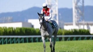【北九州記念登録馬】デアヴェローチェなど13頭