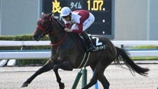 【北九州記念見どころ】前走完勝のフリッカージャブが連勝での重賞初制覇を狙う