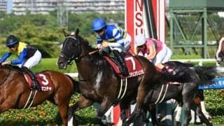 【先週のJRA抹消馬】短距離重賞2勝のカンチェンジュンガ、ダートで活躍したサクセスローレルなど