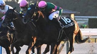 【AI予想・北九州記念】ハンデ戦で難解な短距離重賞！ 人工知能は近況好調馬に高評価