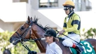 サノノグレーターの勝利には血統的な裏付け グレーターロンドン産駒は小回りに高い適性あり