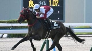 【北九州記念展望】勢いのあるフリッカージャブが重賞初制覇へ