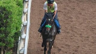 ジョバンニなど、先週の入厩情報/栗東トレセンニュース