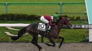 【北九州記念予想オッズ】フリッカージャブが予想1番人気