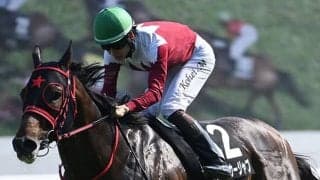 北九州記念は前走1着馬が3連覇中！ 今年の該当馬は？