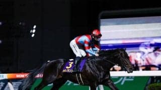 帝王賞を前に振り返る上半期ダート戦線 二冠馬誕生から地方馬の活躍まで