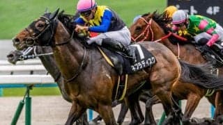 【博多S】半姉は名牝リスグラシュー ネブラディスクがオープン昇級狙う