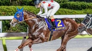 【帝王賞】史上2頭目の連覇へ ミッキーファイトがJpnI・3勝目狙う