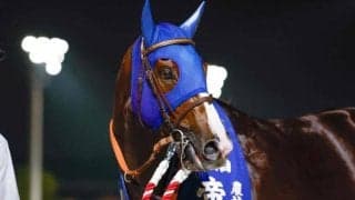 【大井・帝王賞】上半期のダート路線締めくくる大一番 好メンバー13頭が集う