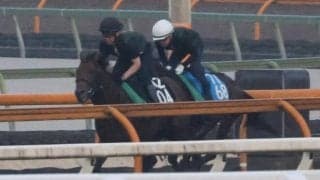 ジーティーアダマン、小倉記念2週前追い切り速報/栗東トレセンニュース