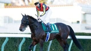 【七夕賞想定】カラマティアノス、ピコチャンブラックなど16頭