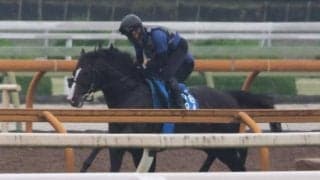 ムルソー、マーキュリーC追い切り速報/栗東トレセンニュース