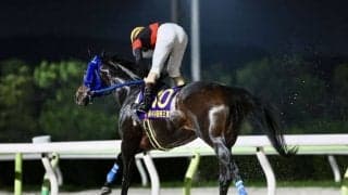 【帝王賞】矢野「最後は流石の脚」ディクテオンが地方馬最先着