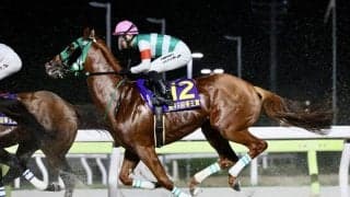 【帝王賞】直線入口では勝利もよぎる脚色…セラフィックコールが見せ場演出の4着