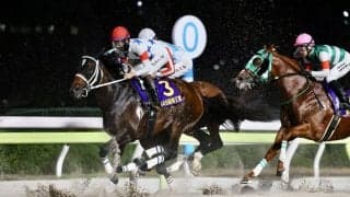 【帝王賞】アウトレンジあと一歩届かず…2年連続2着、松山「この舞台は相性がいい」