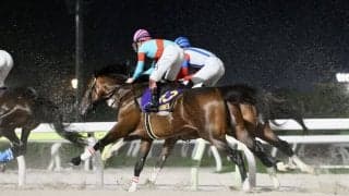 【帝王賞】三浦「成長うかがえる状態」最後までしぶとく脚を伸ばしたラムジェットは5着
