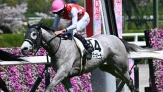 【北九州記念枠順確定】デアヴェローチェは5枠7番、フリッカージャブは8枠12番
