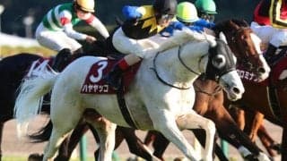 白毛一族だけど鹿毛 ウィモウェがデビュー勝ちなるか