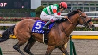 ミックスセール出身のエフフォーリア産駒として初勝利なるか スタースポットに要注目だ