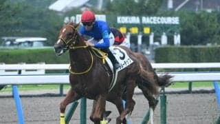 【小倉5R新馬戦結果】ファインニードル産駒ブルーチップが初陣飾る