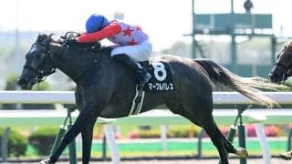 【JRA・WIN5】本日のWIN5は的中11557票、配当2万8600円