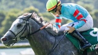 北九州記念は展開重視 前走重賞勝ち馬に注目だ