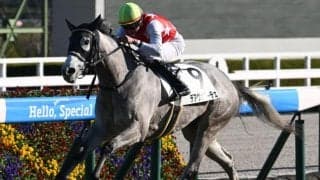 【北九州記念予想】サマースプリントシリーズ第2戦 3歳牝馬の勢いに期待