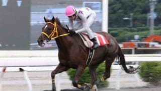【高知・ヴェガ特別】止まらないスカンジナビア！6馬身差の7連勝で高知最強牝馬を証明