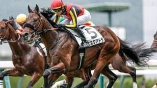 【福島5R新馬戦結果】レイデオロ産駒エスクアドラが差し切り新馬勝ち