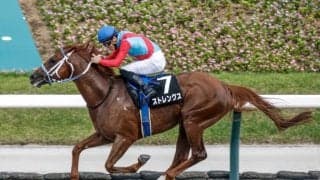 【ジュライS結果】ストレングスが逃げ切りオープン初勝利