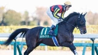 【七夕賞】カラマティアノス、ヤマニンブークリエなどが登録