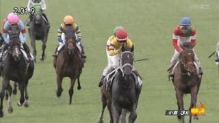 「気持ち良すぎ」大外一気の“ごぼう抜き”で668万馬券演出…勢いに乗る女性騎手の豪快騎乗をファン絶賛「覚醒してる」