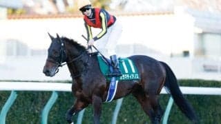 【七夕賞予想】AIの指名馬は上位人気の一角 評価ポイントは「血統」と「キャリア」