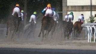 【笠松・ぎふ清流C結果】ベラジオソニックが好位から抜け出し重賞2勝目を挙げる