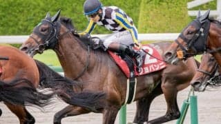 【小倉記念想定馬・騎手】ジョバンニ、ガイアメンテなど19頭