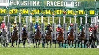 安達太良Sは5歳馬が優勢か ディープインパクト系に要注意