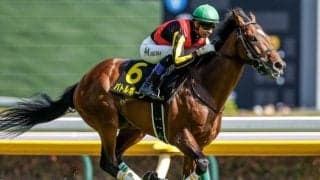 七夕賞の枠連「7-7」は今年も売れている？
