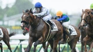 【函館5R新馬戦結果】サトノダイヤモンド産駒デアグランツが初陣飾る