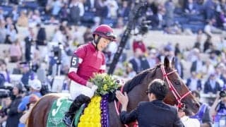 【セレクトセール2026】世界が注目するセレクトセールが開幕…イクイノックス産駒など新時代を担う良血馬が集結