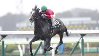WIN5は641万円超の払戻し…ヴーレヴーなど伏兵が快勝で波乱