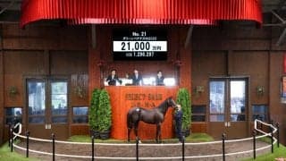 【セレクトセール2026】イクイノックス産駒が登場…グリーンバナナズの2025は2億1000万円で落札