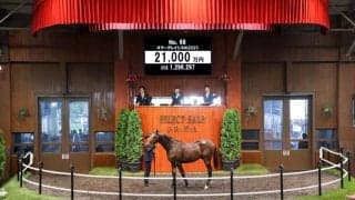 【セレクトセール2026】キラーアビリティの半弟に2億1000万円…藤田晋氏が良血馬を落札