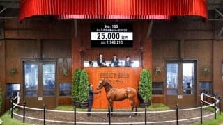【セレクトセール2026】米最優秀3歳牝馬のキタサンブラック産駒に2億5000万円